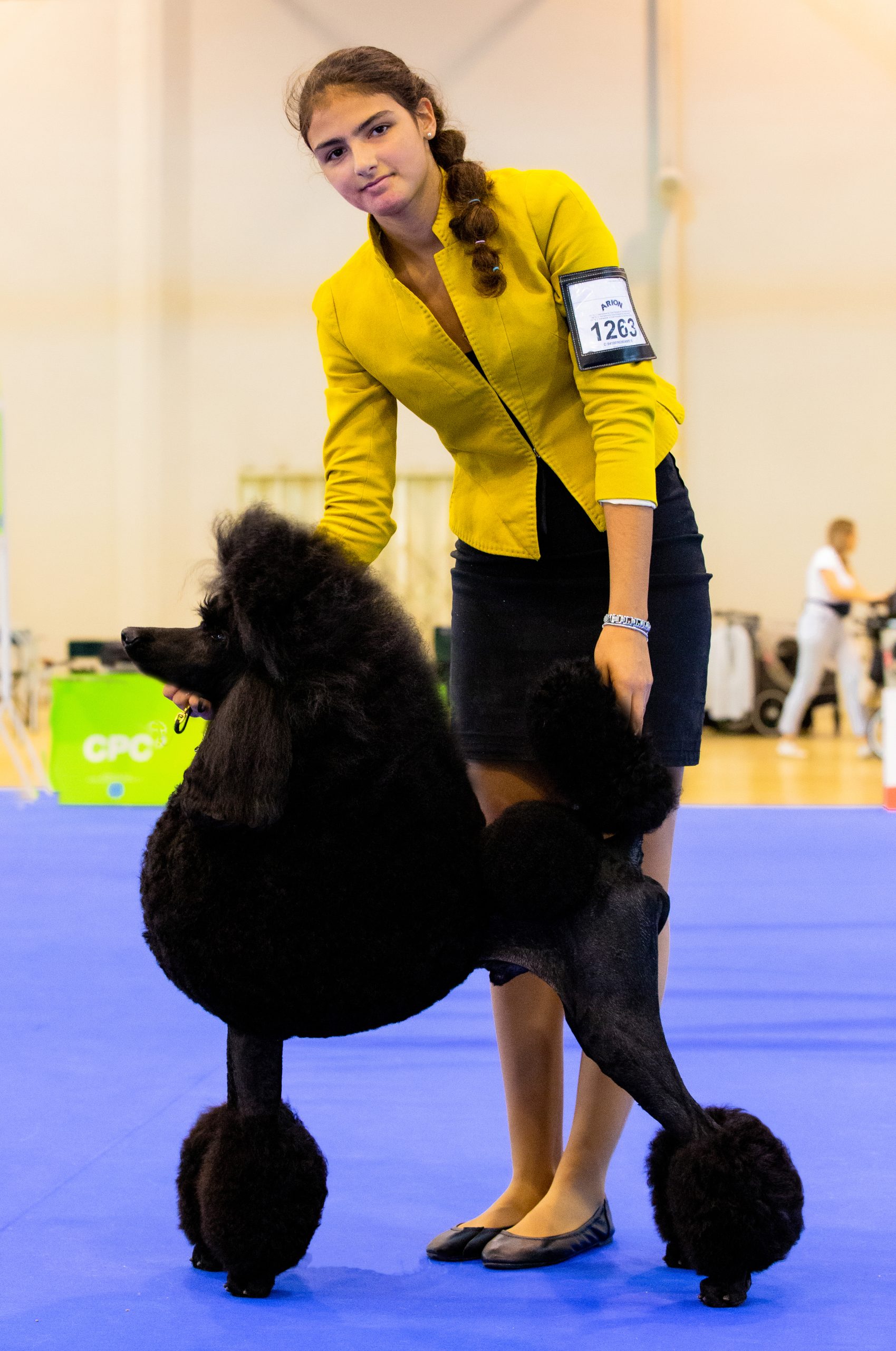 David Medina Poodle 1 Scaled