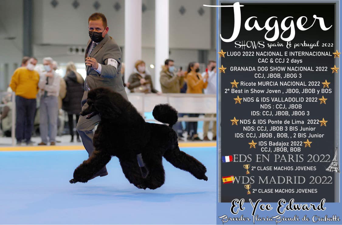 Jagger en exposicion