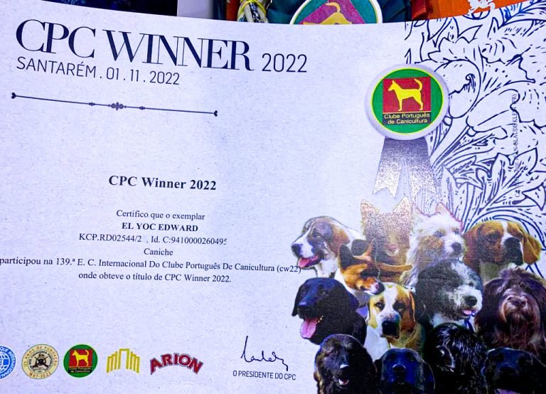 Titulo Jagger Caniche Gigante Gibraltar