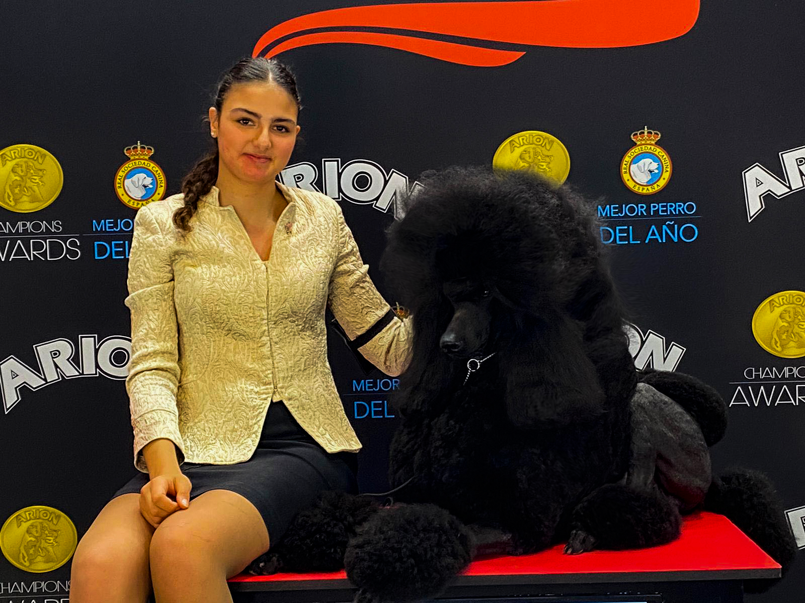 JAGGER - El Yoc Edward - Caniche Gigante Macho