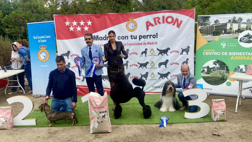 Bella Best in Show
