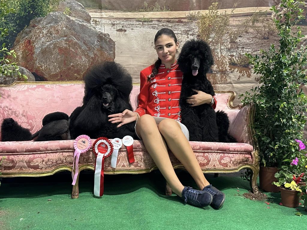 Bella Best of Breed