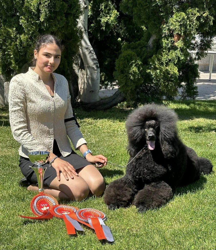 Bella - Campeona Joven Portugal