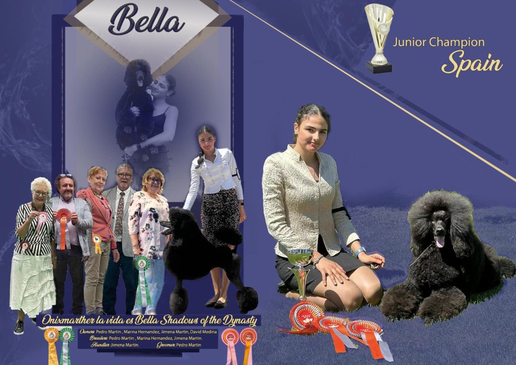 Bella Madrid Winner