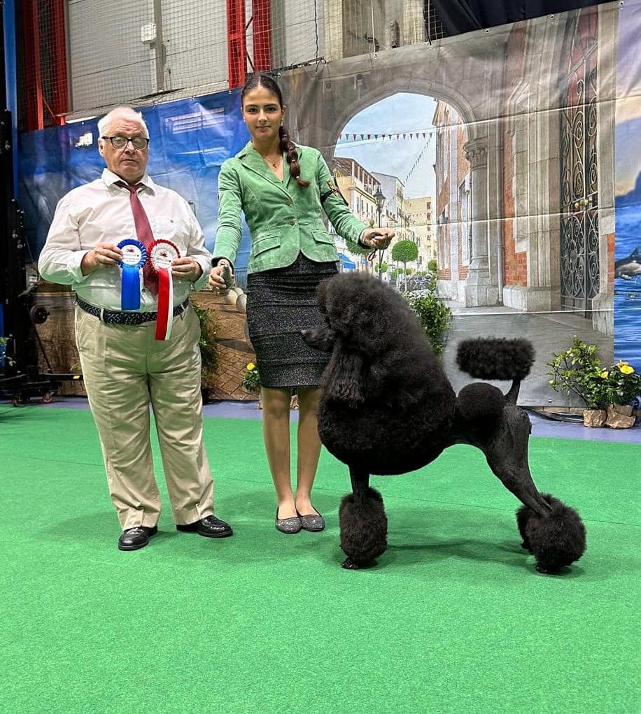 Bella Gibraltar show