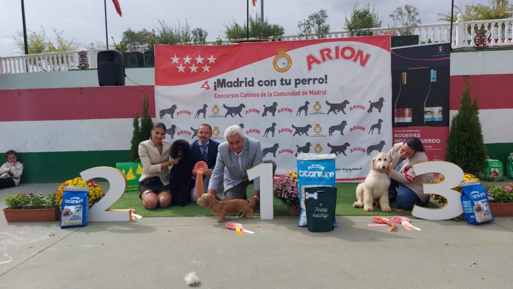 Bella con trofeos