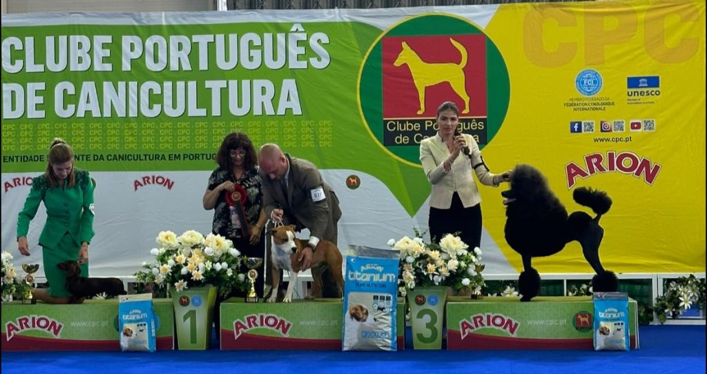 Bella Portugal show