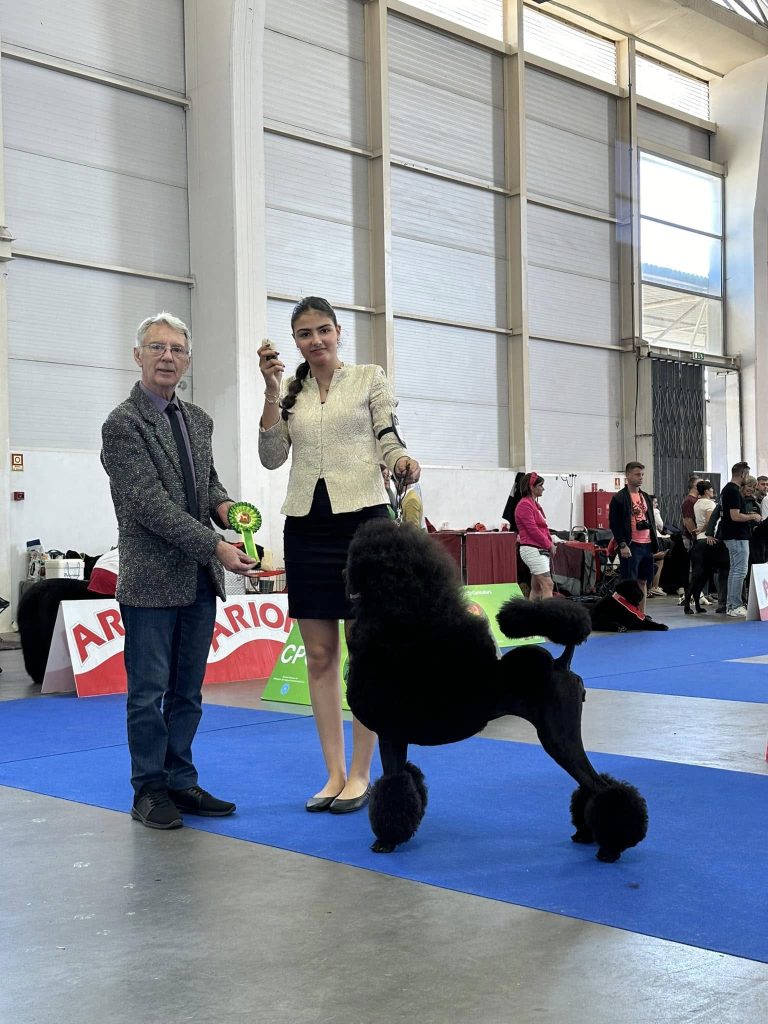 Bella - BEST IN SHOW Torrelodones