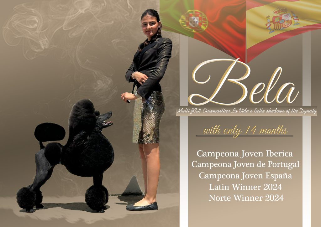 Bella Madrid Winner
