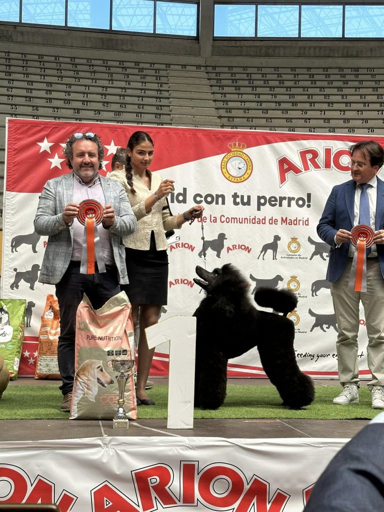 Bella trofeo