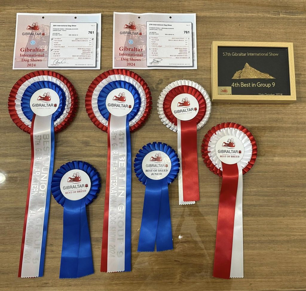 Bella Gibraltar trofeos