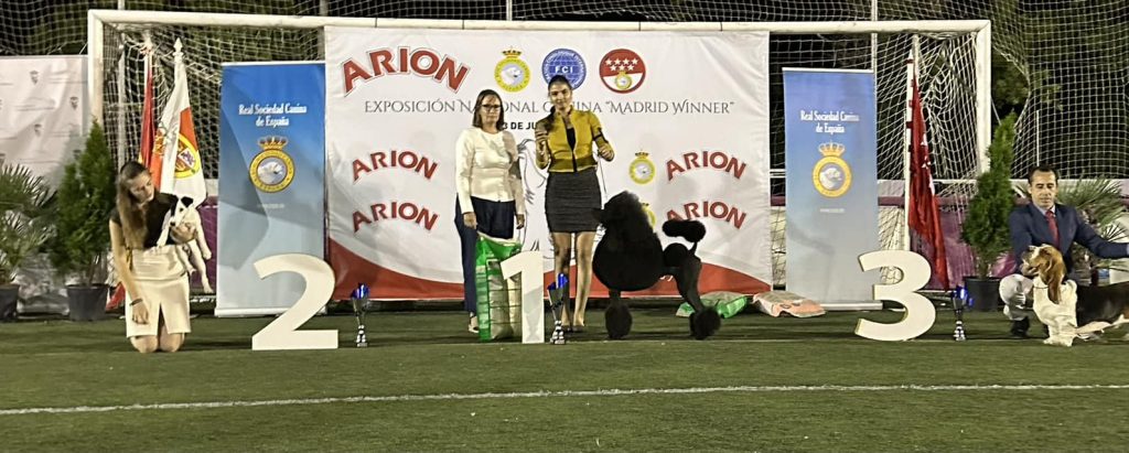 Bella winner