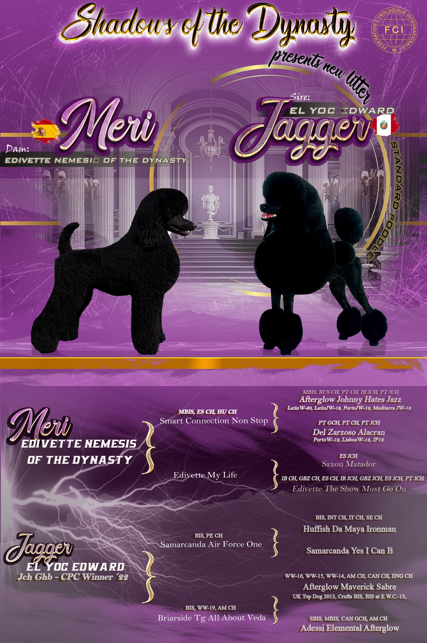 Camada Nemesis x Jagger - Cachorros de Caniche Gigante FCI Shadows of the Dynasty disponibles en venta en España