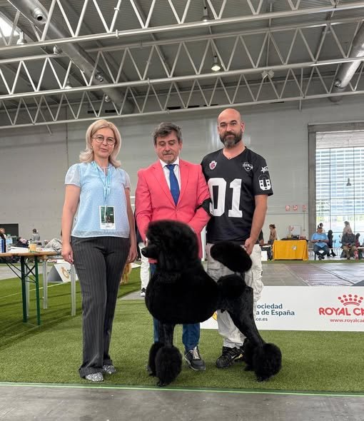 Max en exposicion