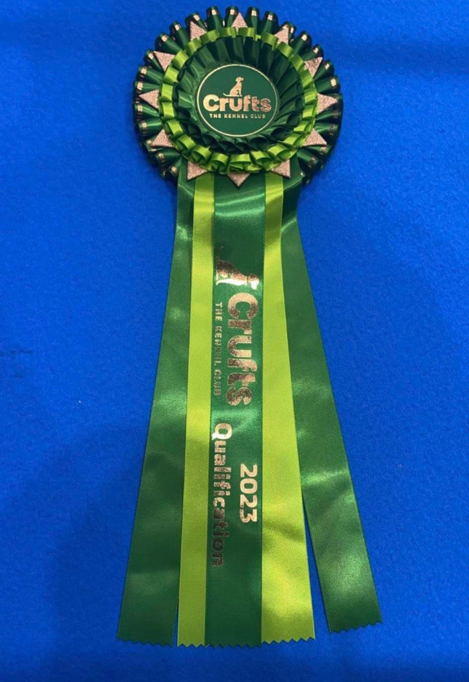 Crufts Qualification 2023 - Max
