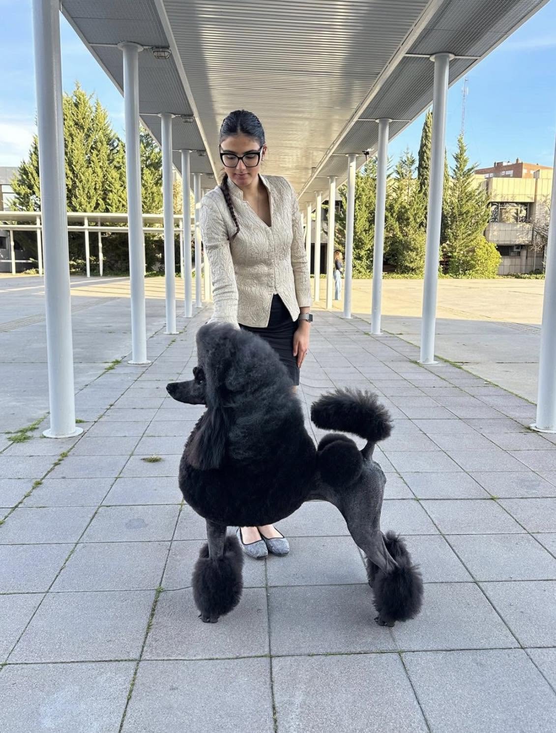 Bella - Nueva Campeona de España Valladolid