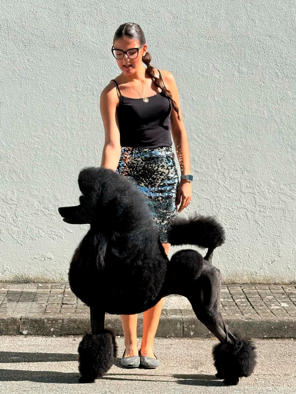Bella Caniche Gigante Negro