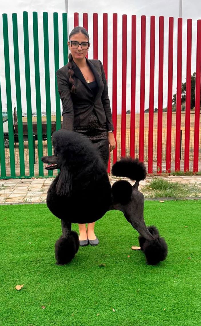 Bella - Campeona de Portugal 2025