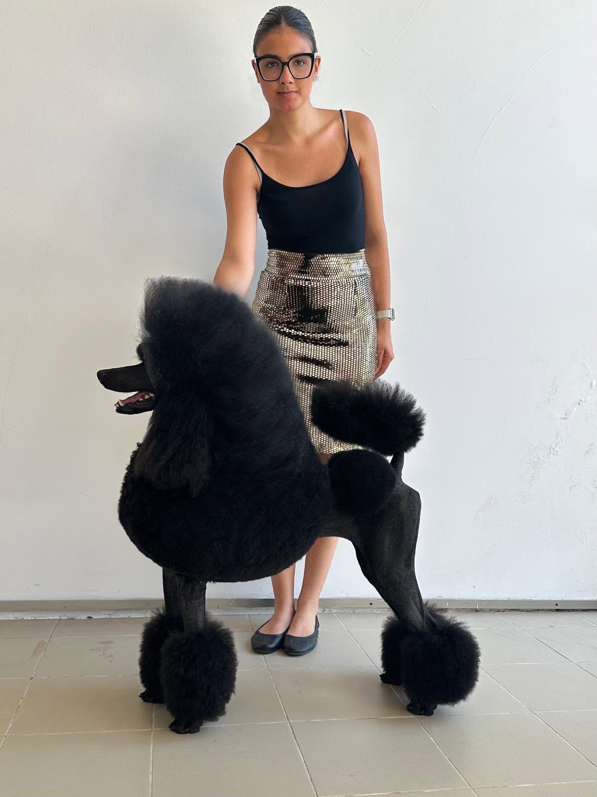 Bella Caniche Gigante Negro