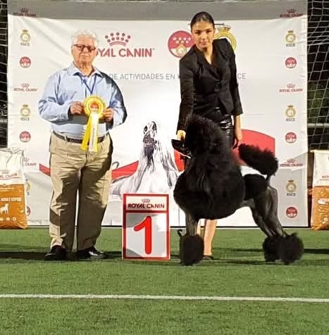 Bella Madrid Winner 2026