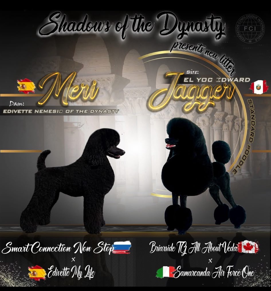 Camada Nemesis x Jagger - Shadows of the Dynasty presents new litter. Sire: El Yoc Edward Jagger. Dam: Edivette Nemesis of the Dynasty